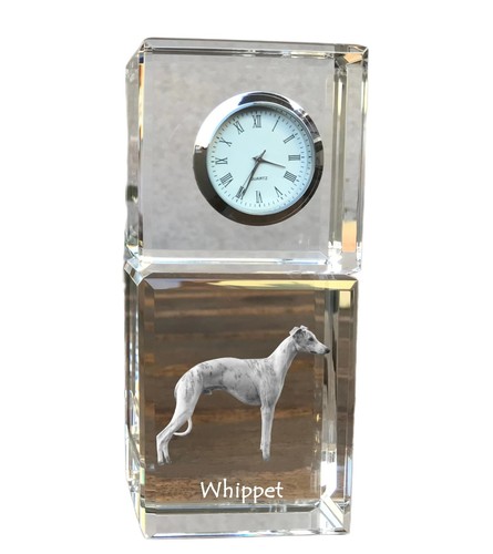 Whippet piccolo levriero - whippet,