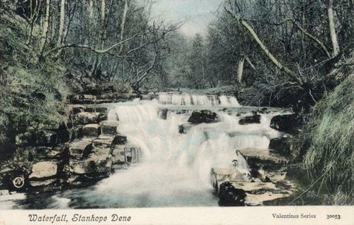Printed postcard the - postcard, of