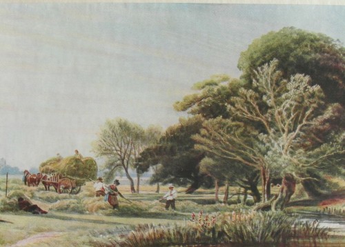 Antica stampa acquerello - stampa,