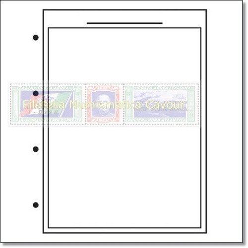 Fogli fondo bianco intercalare - bianco,