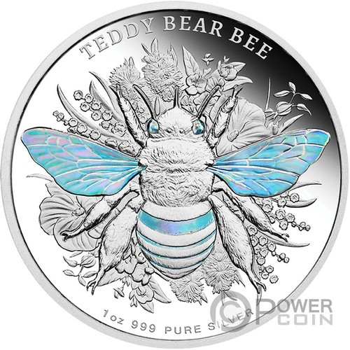 Teddy bear bee australian - bee,