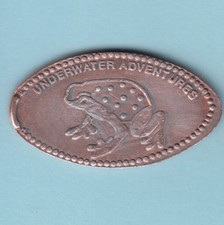 Z] Rana / Rospo ~ Avventure subacquee ~ Bloomington, Minnesota. Ritirato