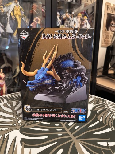 Dragon kaido ichiban - dragon, kuji