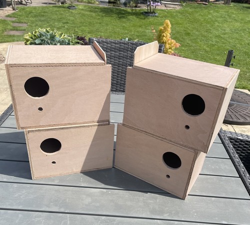 Scatole budgie nest - budgie, complete