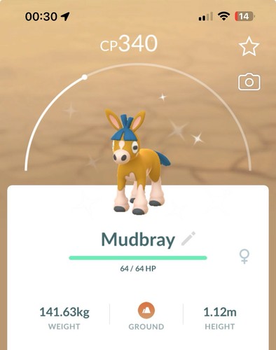 Shiny mudbray pokemon gen7 - mudbray,