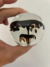 Raro fermacarte in cristallo Querandí - firmato, Argentina, 1983