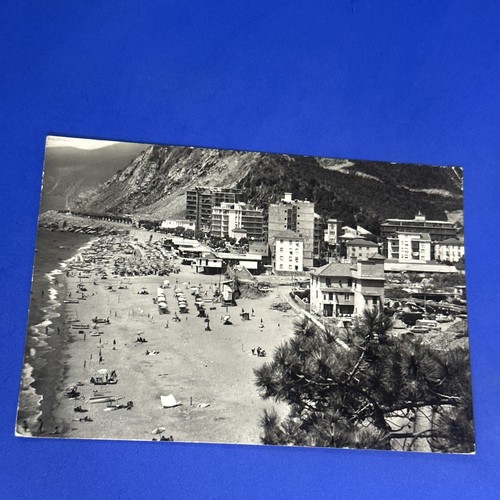 Deiva marina con - deiva,