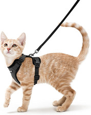 Pettorina Gatto Antifuga Con