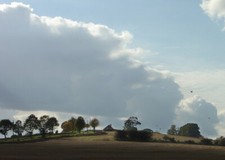 Photo 6x4 Hunter Hill Farm