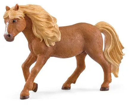 Icelandic pony stallion - icelandic,