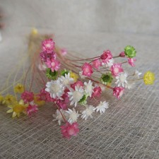  100 Pcs Bouquet Di Fiori