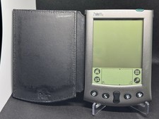 Palm silver 2 - palm,