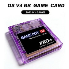 Game Boy Pro + Cartuccia Flash