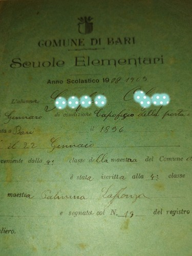 Pagella scolastica anno - pagella,