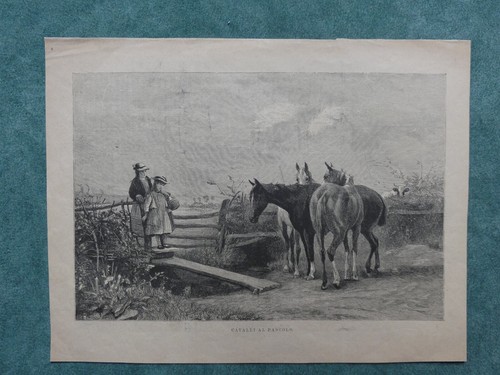 Cavalli pascolo stampa - stampa, 1878