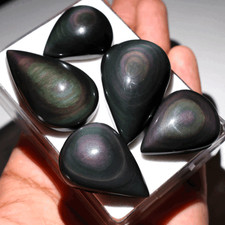 5 pz pietra di palma cristallo