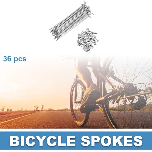 Raggi bici bicicletta 14g - bicicletta,