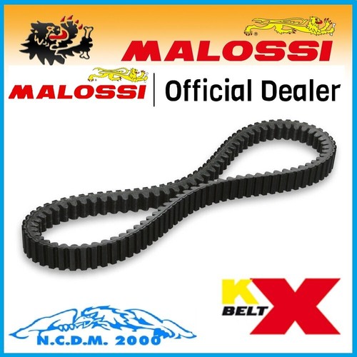 6115803 malossi cinghia - cinghia, di