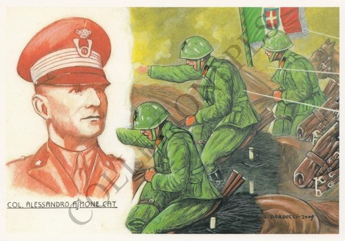 Cartolina postcard publicard - cartolina/postcard,