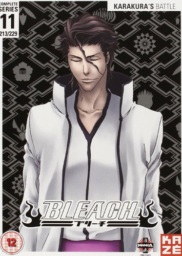 Bleach complete series dvd - complete,