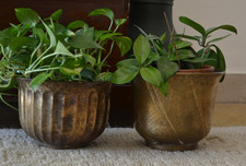 Antichi Vasi in Ottone Rame ciotole contenitori Fioriere da interno Vintage