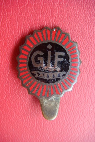 Distintivo smaltato gioventù - smaltato,