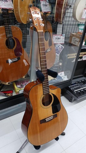 Chitarra elettrica acustica