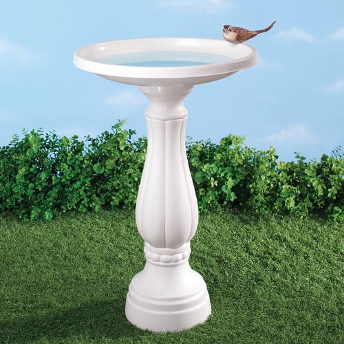Mangiatoia bagno uccelli