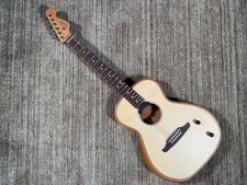Fender Highway Series Parlor