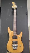 Washburn Nuno bettencourt vintage. 