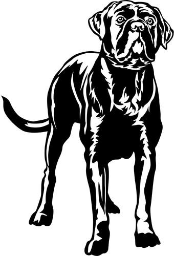Adesivo cane corso - adesivo,