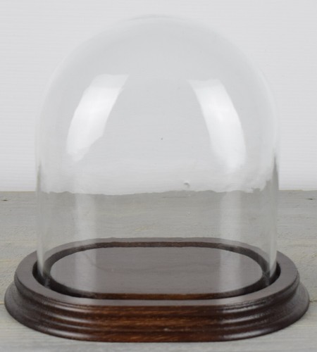 Euro glass angelo cupola - angelo,