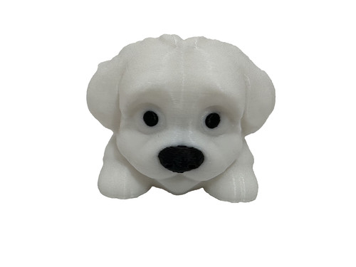 Flexi maltese animale cane - animale,,