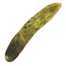  Cuscino di peluche a forma di sottaceto: divertente cuscino gigante di peluche