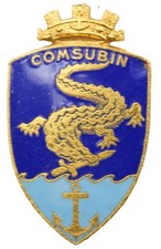 distintivo spilla pins