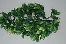 Rettile FMR Terrario Mandarino