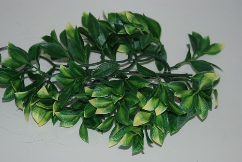 Rettile fmr terrario mandarino - rettile,