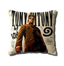 CUSCINO 40x40 IDEA REGALO