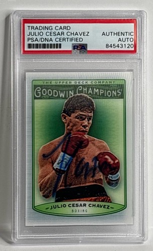 Julio cesar chavez - julio,