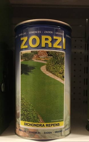 Zorzi dichondra repens per - repens,