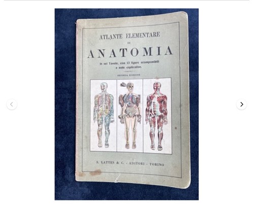 Atlante elementare anatomia - di,
