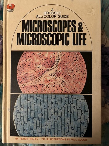 Microscopes microscopic life - microscopic,