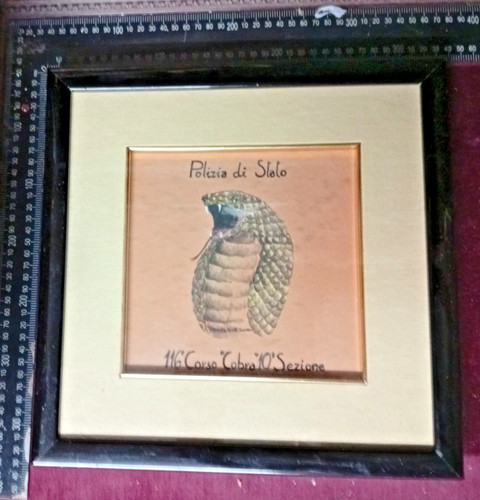 Crest quadro polizia stato - crest,