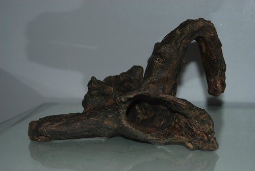 Legno acqua stupefacente - legno, d'acqua