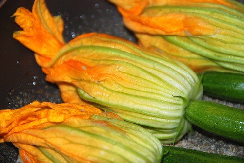 Zucchino fiore semi - 80,