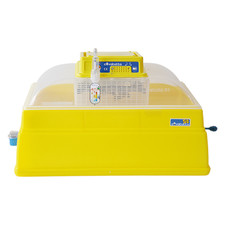 INCUBATRICE 'COVATUTTO 54' 54