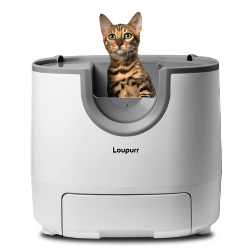 Lettiera automatica per gatti - per,