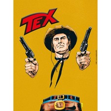 TEX 781 VARIANT LUCCA 2025