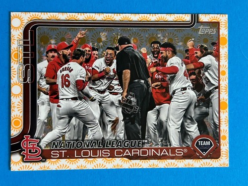 Louis cardinals team 2025 - team,
