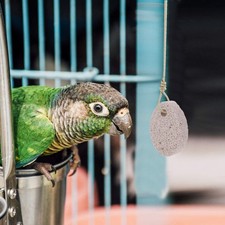  10 Pezzi Giocattoli da